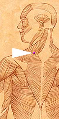 SI15 . Jian Zhong Zhu